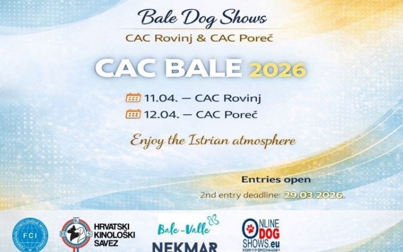 Bale Dog Shows