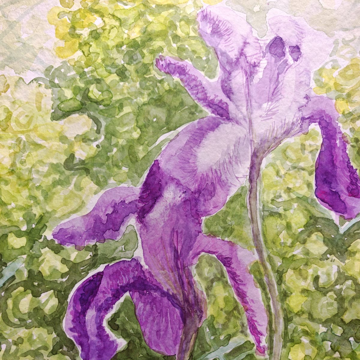 fLORA – exhibition by Marko Šošić