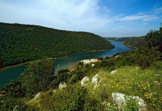 Limski kanal